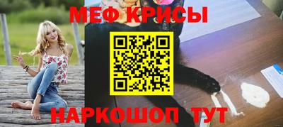 ешки Кингисепп