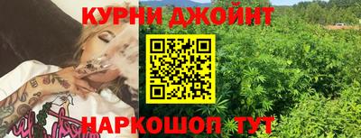 ешки Кингисепп
