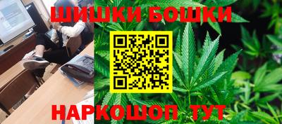 ешки Кингисепп