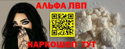 ешки Кингисепп