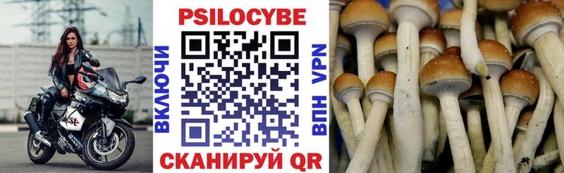 Галлюциногенные грибы мицелий  Коркино 