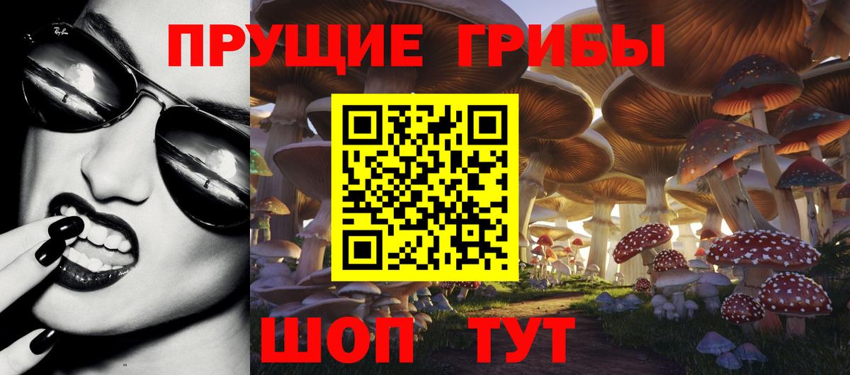 Коркино  Галлюциногенные грибы GOLDEN TEACHER  где купить наркоту  Вход с VPN 