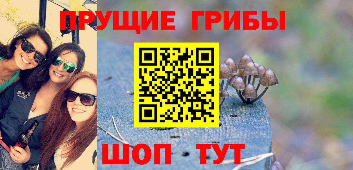 Псилоцибиновые грибы GOLDEN TEACHER Коркино